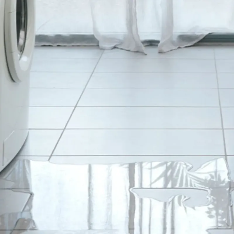 Appliance Leak Cleanup in Springfield, MI