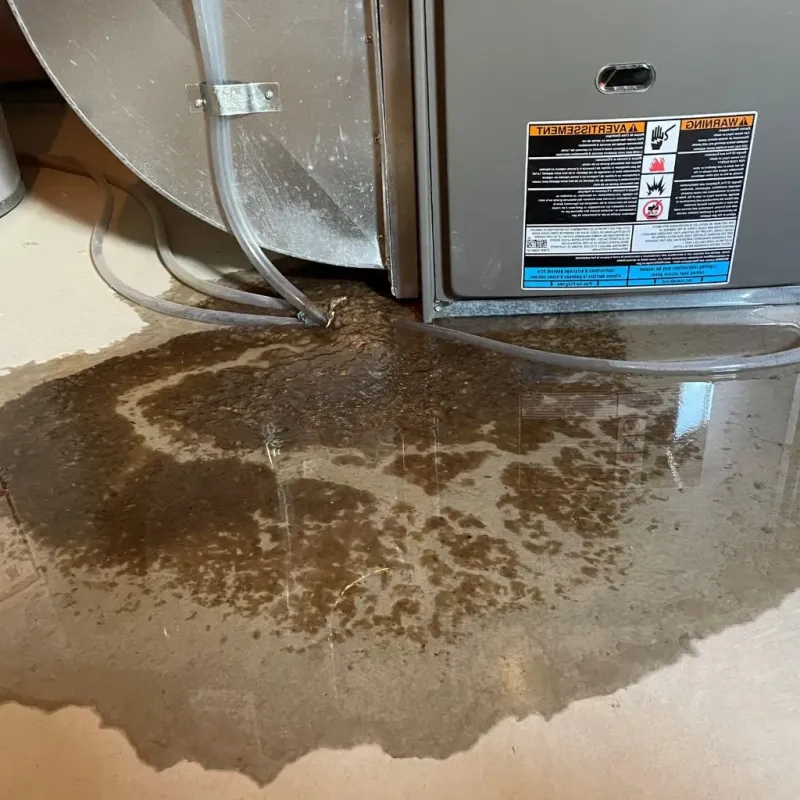 Pipe Burst and Leak Restoration in Springfield, MI