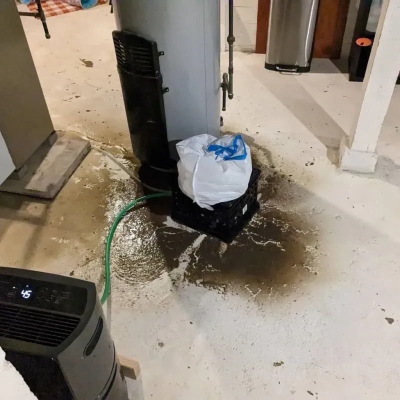 Sewage Backup Cleanup Service in Springfield, MI